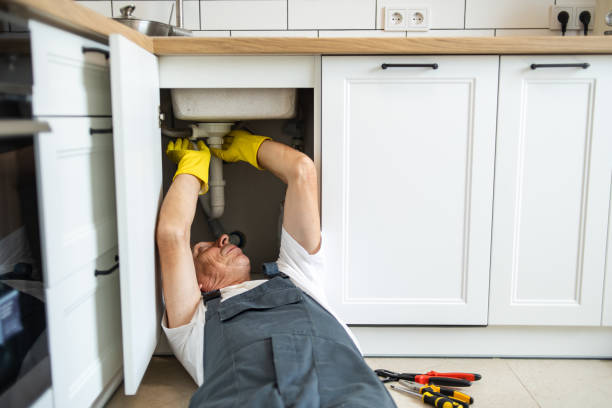 Best Toilet Repair Services  in Webster, TX