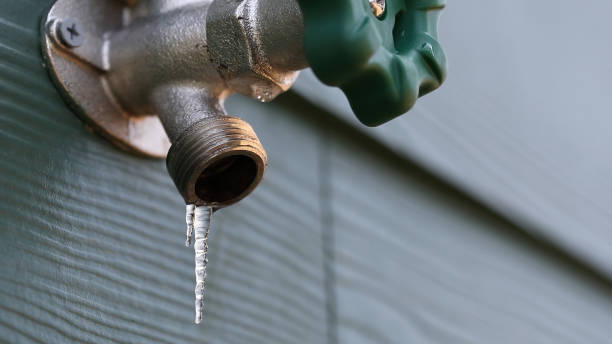Best Affordable Plumber Near Me  in Webster, TX
